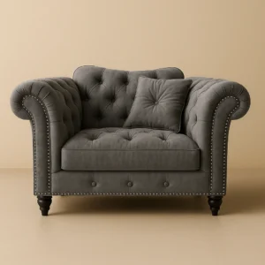 elegance 1 Seater Armchair sofa in Grey color