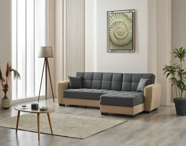 Dynamic Corner Sofa Bed