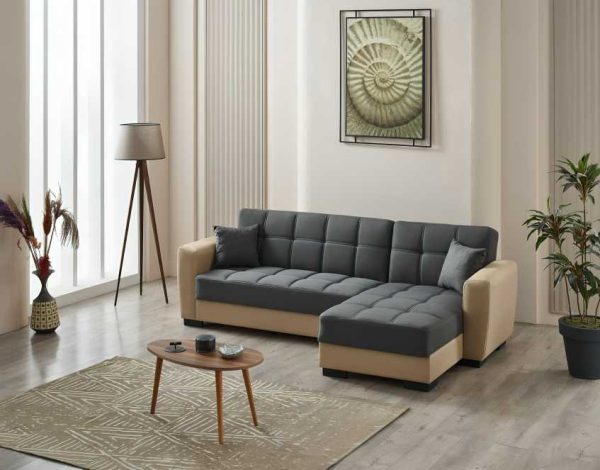 Dynamic Corner Sofa Bed