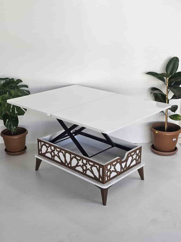 Modern Coffee Table