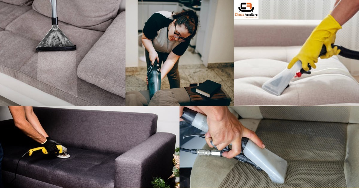 Comprehensive Guide to Professional Sofa Cleaning