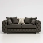 Ashton 2 Seater sofa in Grey color
