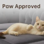 UK chesterfield sofa with a cute cat. Paw approved